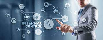 Business Internal Control