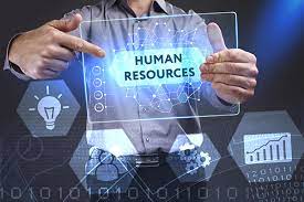 HR and Payroll Executive
