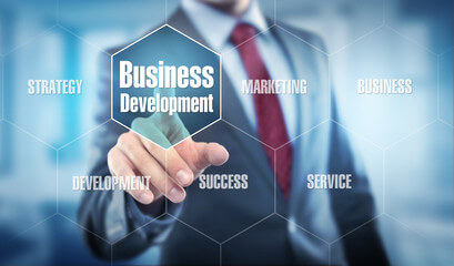 Business Development Executive