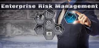 Enterprise Risk Specialist