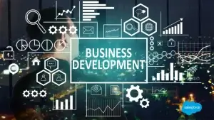 business development guide