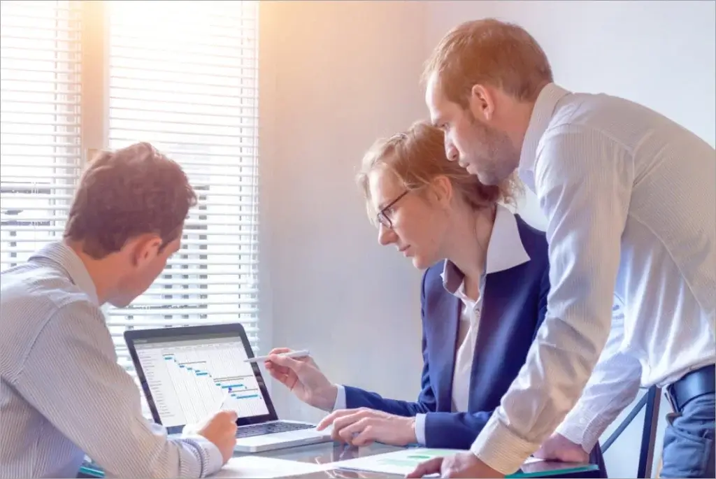 Software Project Manager