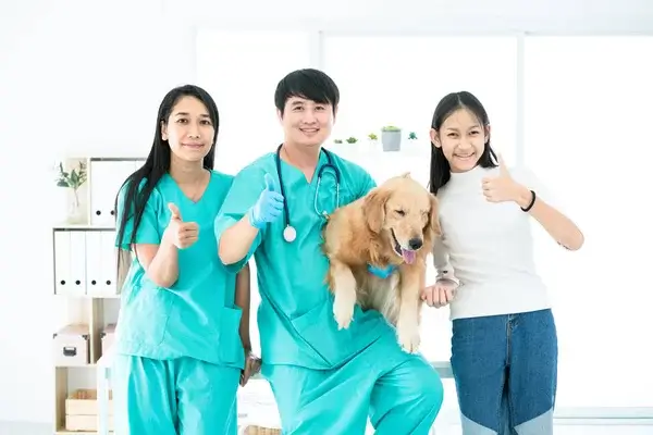 Doctor Veterinarian