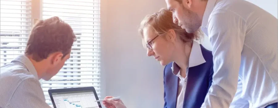 Software Project Manager